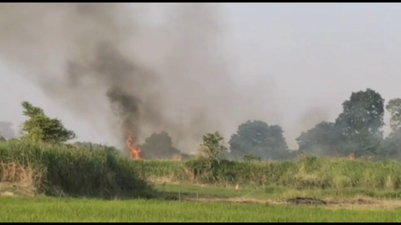 Satu Hektar Lahan Semak Belukar Terbakar di Maro Sebo