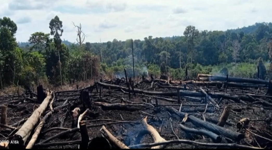 Ratusan Titik Hotspot Ditemukan Sejak Juni-Juli, Sarolangun Jadi yang Tertinggi di Provinsi Jambi 