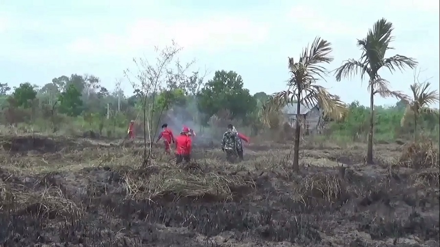 Karhutla di Muaro Jambi Sudah 29 Kasus, Luas Lahan Terbakar 90,32 Hektare 