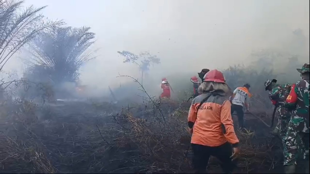 Baru Selesai Pemadaman, Terjadi Lagi Kebakaran 2 Hektare Lahan di Desa Lubuk Kepayang Sarolangun