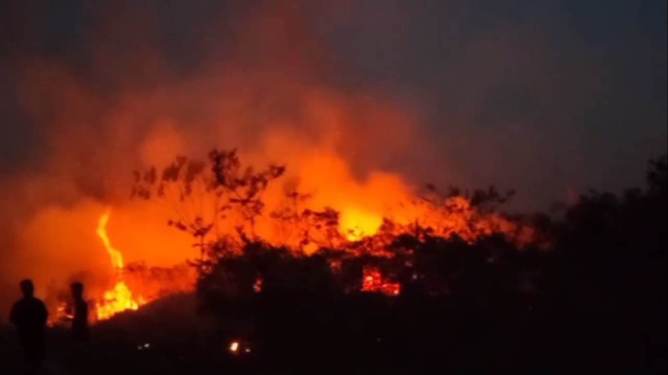 20 Hektar Lahan Perkebunan di Bajubang Laut Terbakar