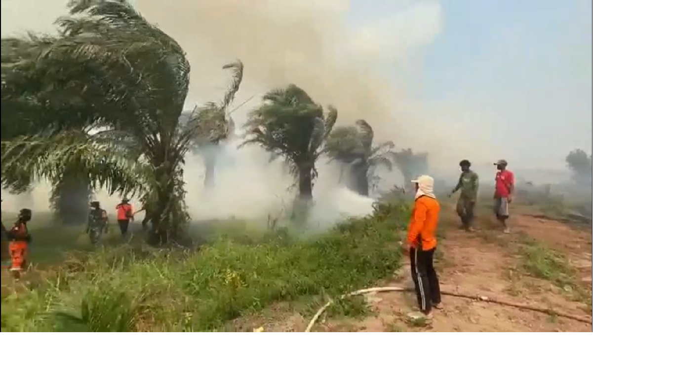 Karhutla Sungai Aur Hari Ke-4 Belum Padam, Sekitar 30 Hektare Lahan Terbakar