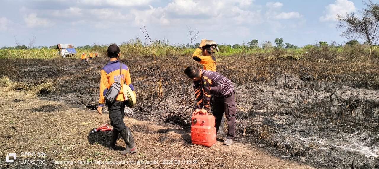 Hingga Agustus 2023, Tercatat Sudah 8 kasus Kebakaran Lahan di Muaro Jambi