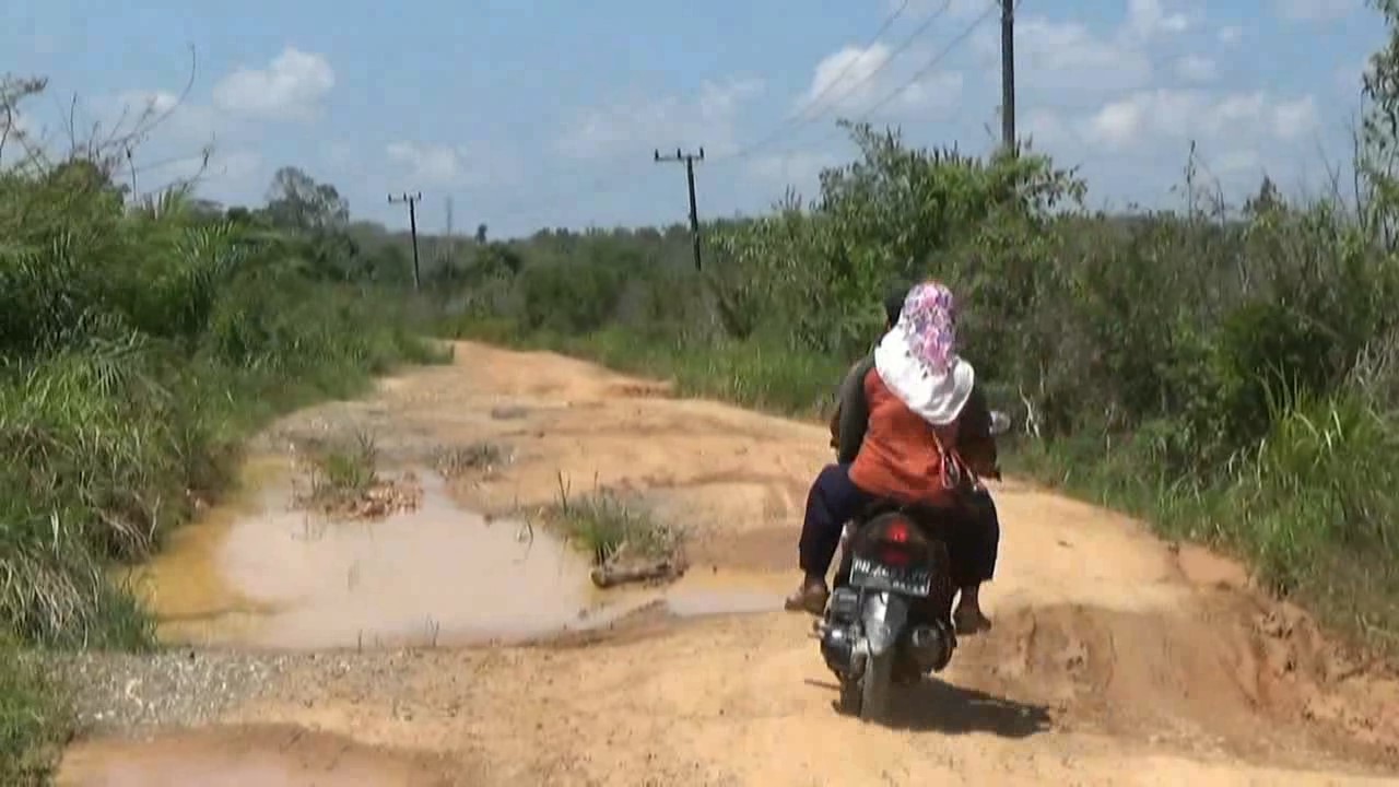 572 Kilometer Jalan di Kabupaten Batanghari Dalam Kondisi Rusak, Pemkab Hanya Bisa Upayakan 3 Persen Perbaikan