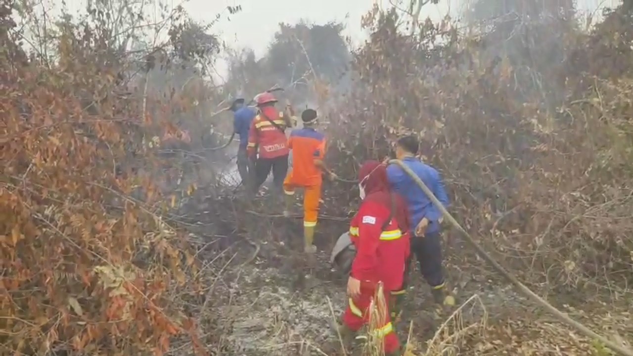 Asap Kembali Selimuti Sarolangun, Karhutla Hanguskan Lahan di Sungai Abang