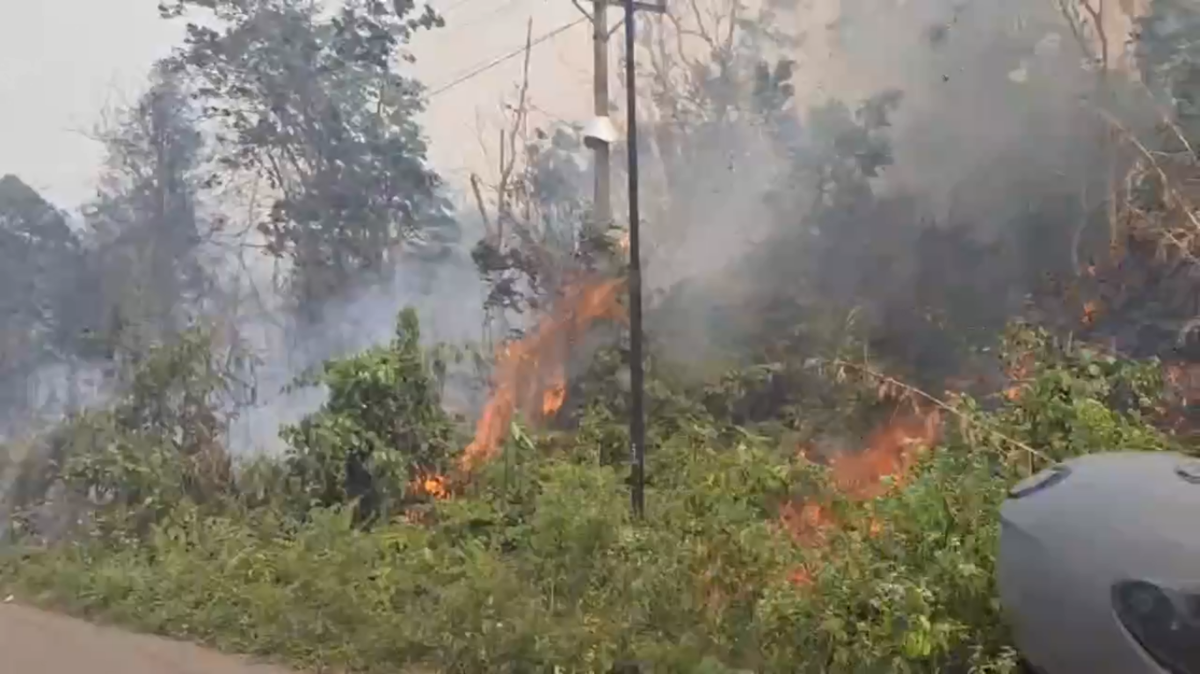 Karhutla di Malapari Batanghari, Empat Hektare Lahan Terbakar hingga Tengah Malam