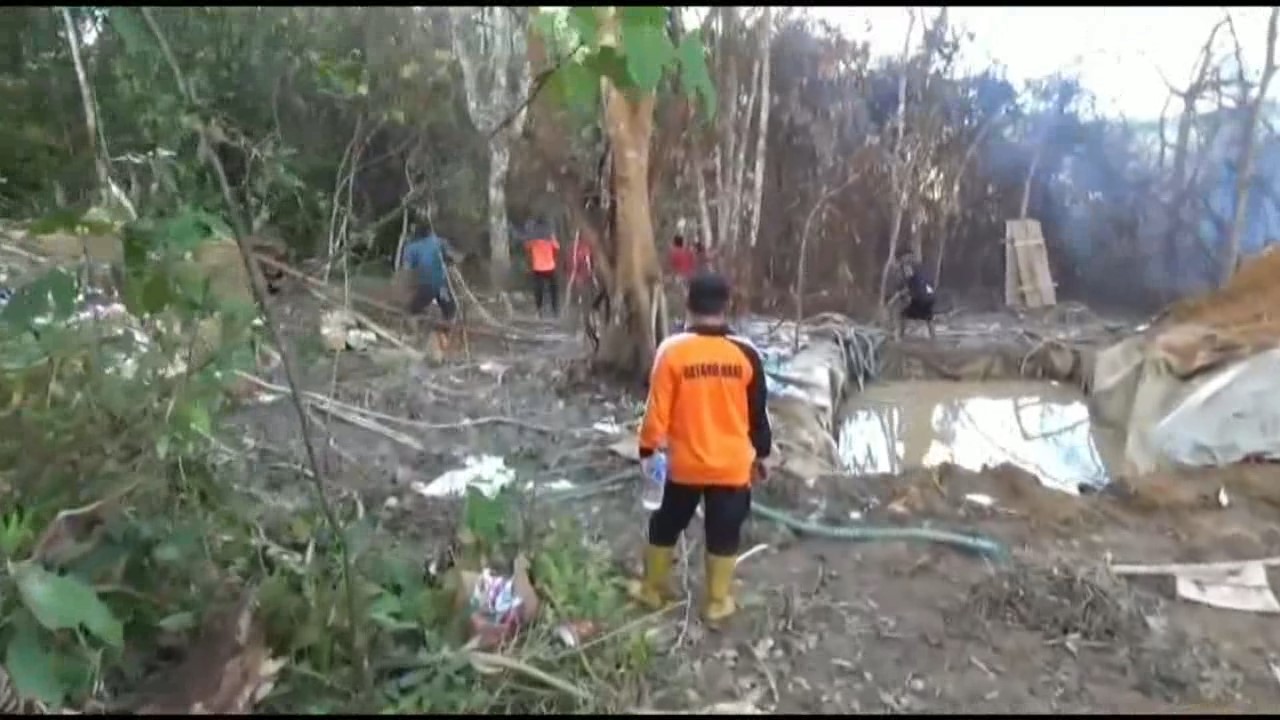 Gawat, Aktivitas Illegal Drilling Sudah Merambah 30 hektar lahan di Jebak Batanghari