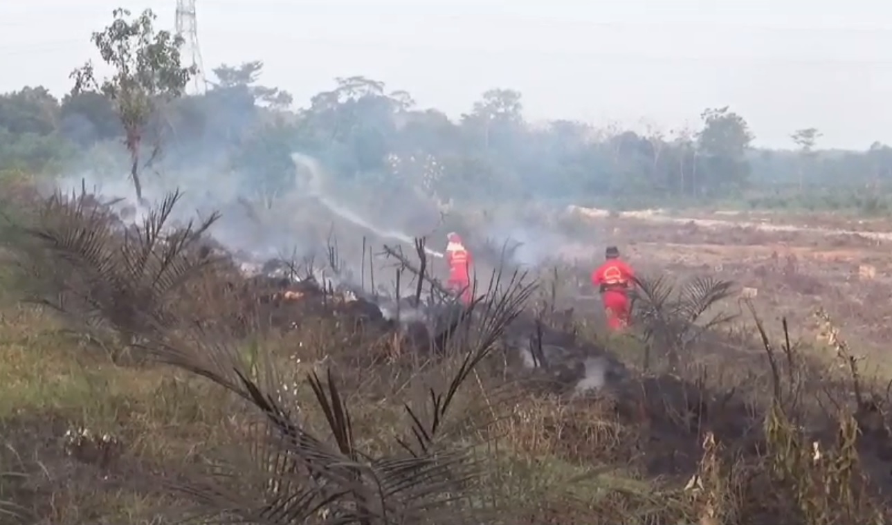 Kebakaran di Mestong, Polisi Amankan Pemilik Lahan dan 5 Pekerja