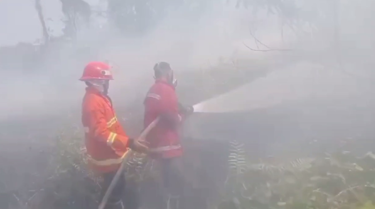 Dalam Sehari, 3 Titik Lahan Kosong di Kota Jambi Terbakar, Diduga Ada Kesengajaan Membakar