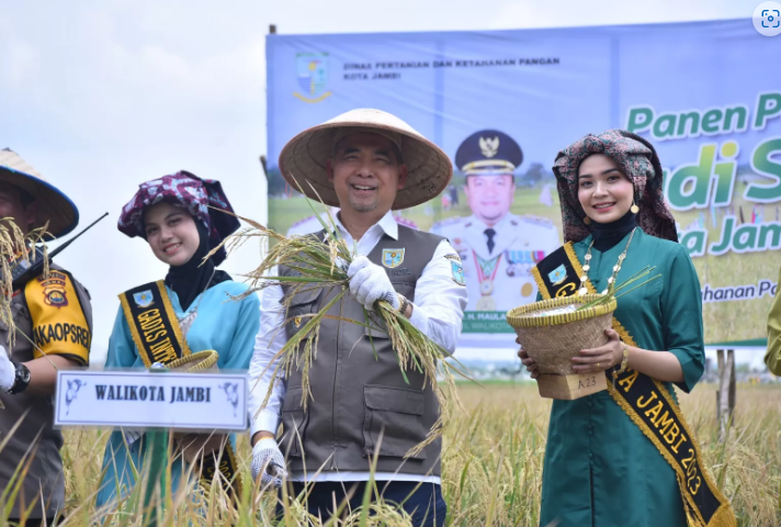 Walikota Fasha Panen Perdana Padi Sawah, Sebagai Upaya Pengendalian Inflasi