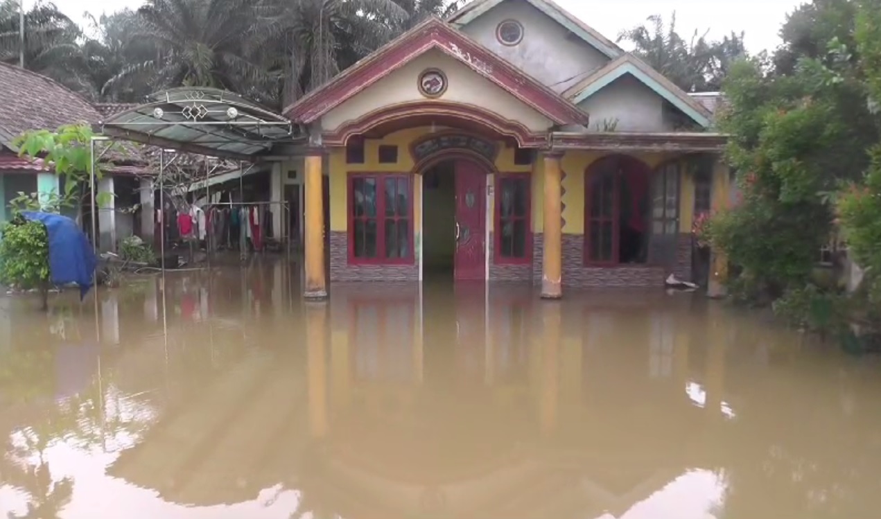 Rumah dan Sawah di Pulau Kayu Aro Kembali Terendam Banjir