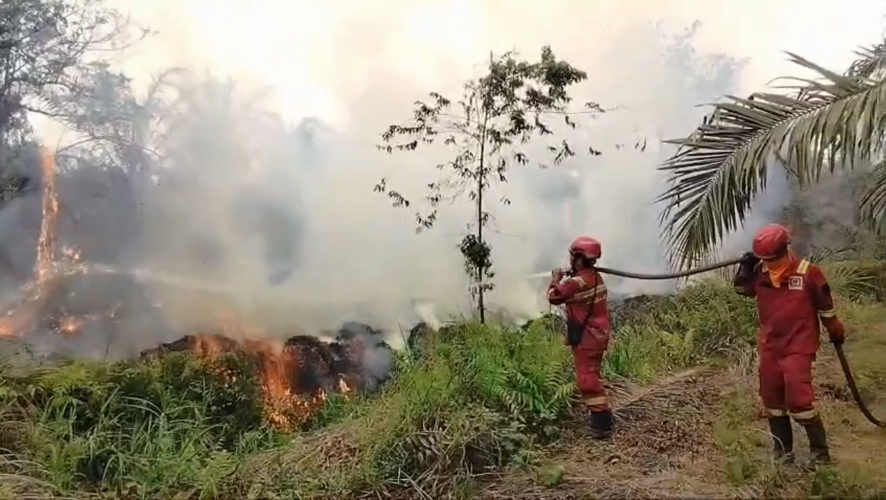 Hari Keempat, Petugas Masih Berjibaku Padamkan Karhutla di Air Hitam Sarolangun