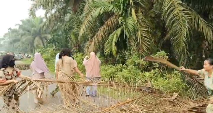 Warga Desa Punti Kalo Kembali Blokir Jalan Padang Lamo 