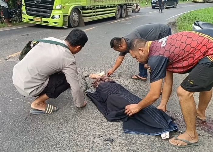 Kecelakaan Maut Sepeda Motor Adu Kambing Dengan Truk Fuso, Seorang Pelajar Tewas Bathin Ii Babeko, Bungo