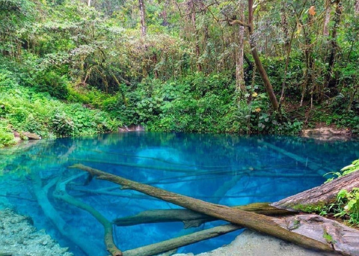 Danau Kaco Aquarium Ditengah Hutan Kerinci