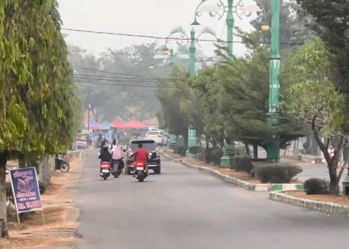 Kualitas Udara Batang Hari Belum Membaik, ISPU Masih di Level Sangat Tidak Sehat