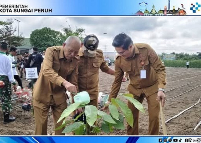 Hadiri HKTI dan Tanam Padi, Wawako Azhar Perkuat Sinergi Petani
