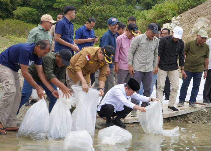 Tinjau Bendungan PLTA Danau Kerinci, Bupati Monadi Dampingi Gubernur Al Haris Lepas 10.000 Benih Ikan 