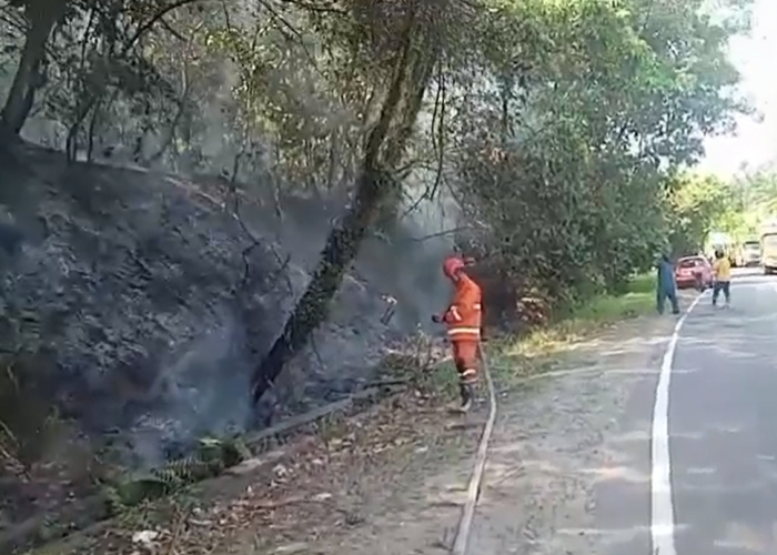 Kebakaran Lahan Di Pinggir Lintas Km 15 Terbakar
