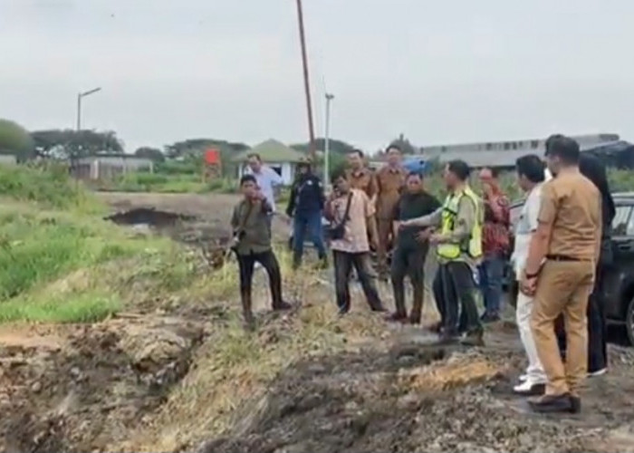 DPRD Jambi Sidak Stockpile Batubara PT Mitra Usaha Batanghari Diduga Cemari Lingkungan