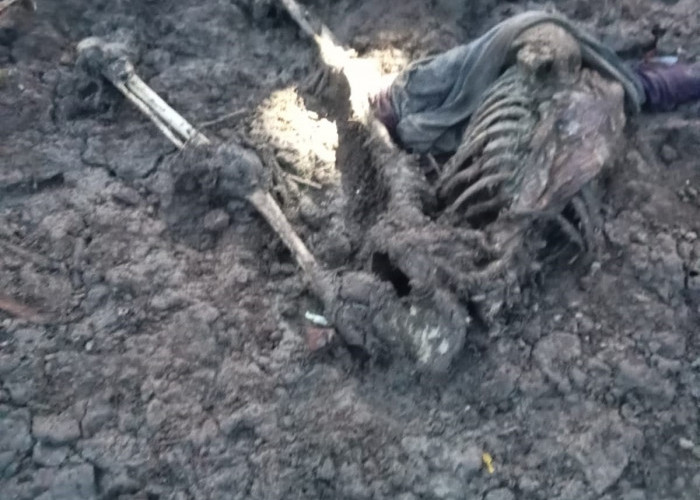 Geger!! Kerangka Manusia Ditemukan di Pesisir Pantai Sungai Sayang, Polisi Lakukan Penyelidikan