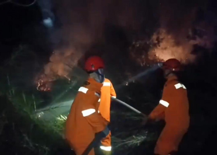 Tiga Hektare Lahan Semak Belukar di Muara Tembesi Terbakar