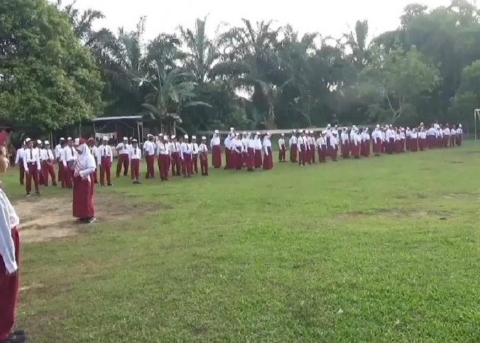 Muaro Jambi Krisis Guru, Kekurangan Lebih dari 800 Tenaga Pendidik, Sejumlah Sekolah Bertahan dengan Honorer