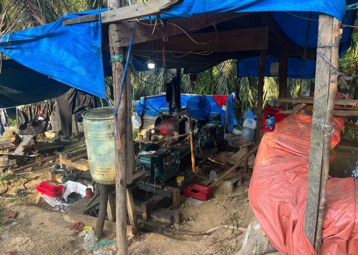 Digerebek Saat Menggali Emas, Enam Penambang Ilegal 