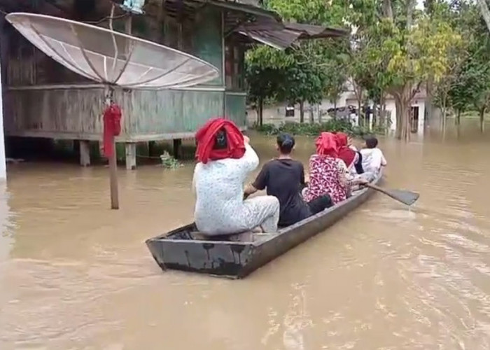 Banjir di 7 Koto, Ratusan Rumah di 2 Desa Terendam dan Ratusan KK Terdampak