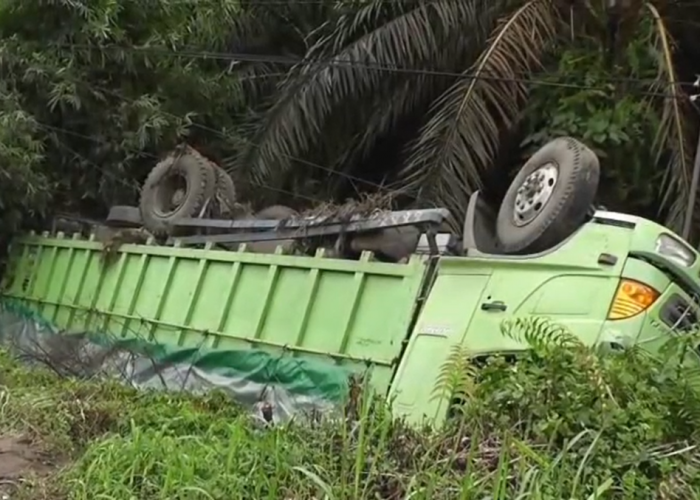 Gagal Menanjak, Truk Ekspedisi Terjun ke Jurang 5 Meter di Muaro Jambi, Sopir dan Keluarga Selamat