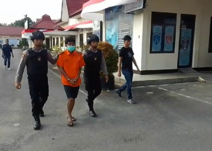 Menyesal Karena Membuka Lahan Dengan Cara Dibakar, AP Menyerahkan Diri ke Polres Tebo