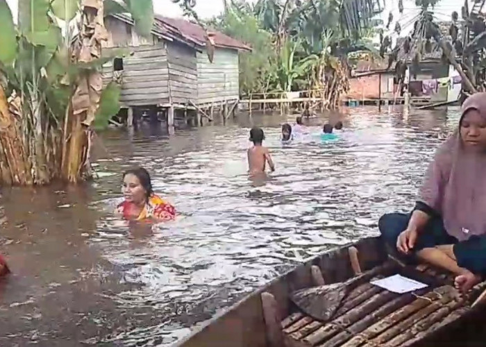 10 Desa di Kecamatan Taman Rajo Terendam Banjir, Ribuan Jiwa Terdampak