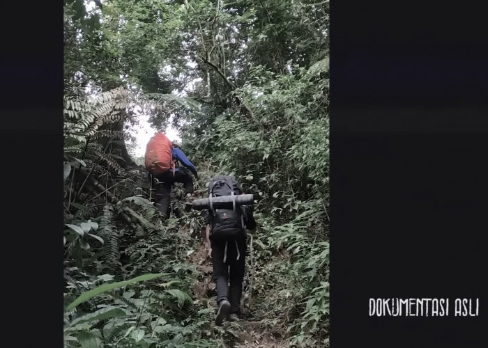 Menantang Hilang di Gunung Sunda, 3 Pendaki Malah Hilang Beneran