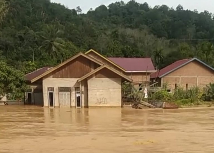 Banjir Bandang Terjang Desa Lubuk Bedorong, Saat Warga Baru Ingin Terlelap Tidur