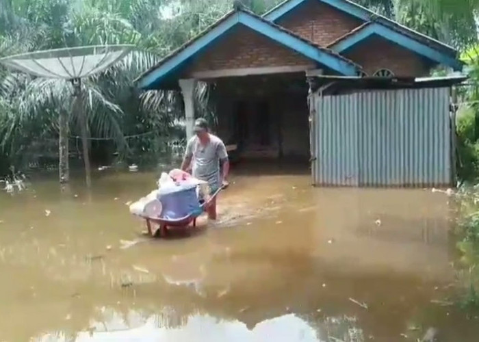 7 Rumah Warga Terendam Banjir Akibat Gorong-Gorong Jalan Lintas Sumatera Tersumbat