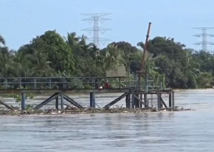 Banjir Semakin Meluas, BPBD Muaro Jambi Naikkan Status Ke Level Siaga II