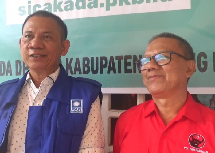 Maju Pilbup Batanghari, Salim Mengaku Dapat Restu Ketua DPW PAN