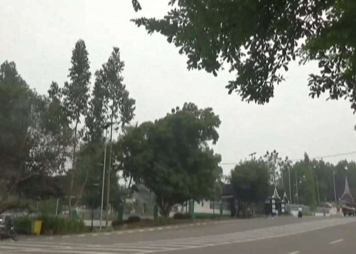 Angka Ispu Di Batang Hari Turun Dari Zona Hitam Turun Ke Zona Merah