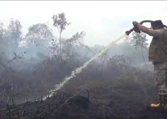 Waspada El Nino: Kemarau Panjang Mengintai, Muaro Jambi Siaga Karhutla