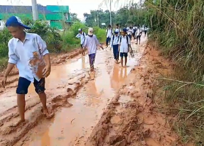 Jalan Rusak, Siswa SMP Merangin Ke Sekolah Tanpa Sepatu