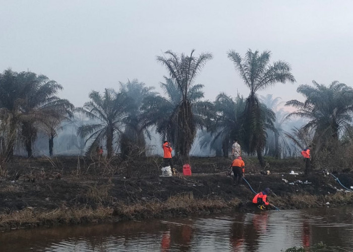 Api Muncul lagi, Danrem Pimpin Pemadaman Kebakaran Lahan di desa Ramin