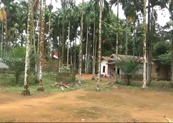 Puluhan Tahun Tanpa Listrik Warga Dusun Geragai Minta Pemerintah Bertindak