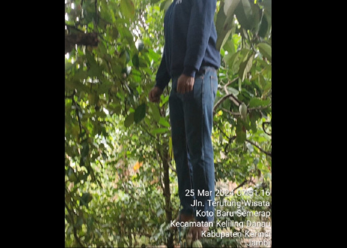 Bakhtiar Ditemukan Tewas Tergantung di Pohon Manggis, Sempat Kirim Pesan WA ke Istrinya