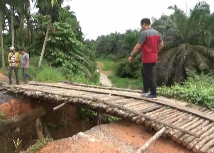 Ruas Jalan Desa Di Pemayung Terputus di Terjang Longsor  Kabupaten Batang Hari 