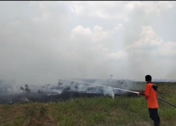 Kebakaran Lahan di Sumber Jaya, Lahan Mineral Seluas 3 Ribu Meter Terbakar