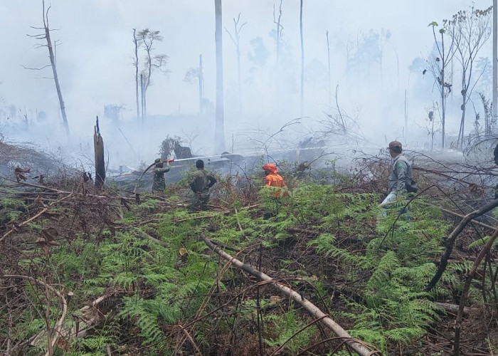 Lahan konsesi milik PT Alam Bukit Tigapuluh kembali terbakar