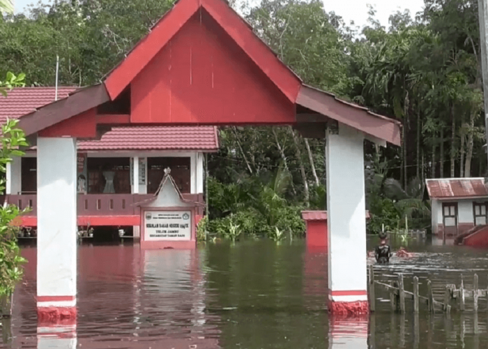  SDN 154 Desa Teluk Jambu Muaro Jambi Terendam Banjir, Siswa Belajar Daring