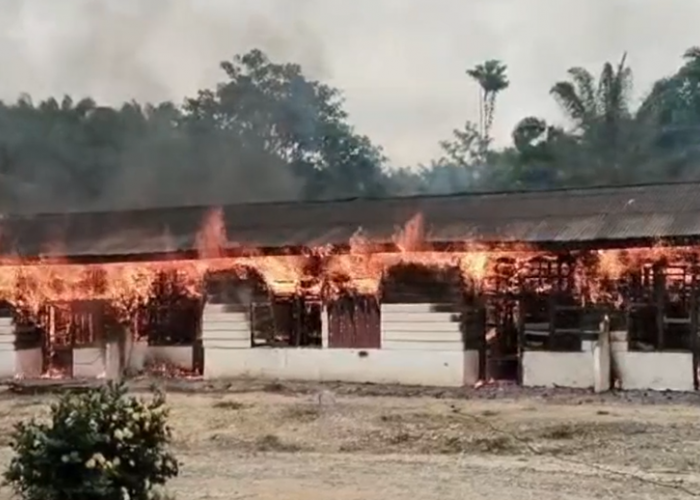 Puluhan Mess PT RAU di Sumay Ludes Terbakar