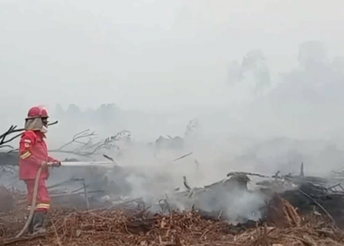 Tanggap Darurat Karhutla Batang Hari Kembali Diperpanjang, Penanganan Asap Berlanjut