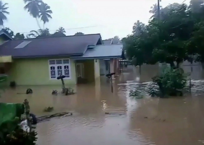 Terus Diguyur Hujan, Bpbd Tebo Naikkan Status Jadi Siaga Darurat Banjir dan Longsor